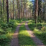 Getaway In The Wilderness 度假居