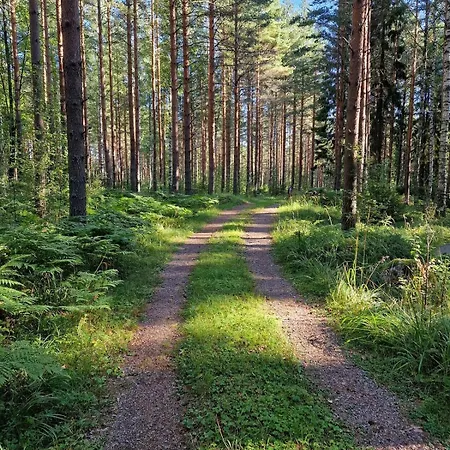 Getaway In The Wilderness Prázdninový dům