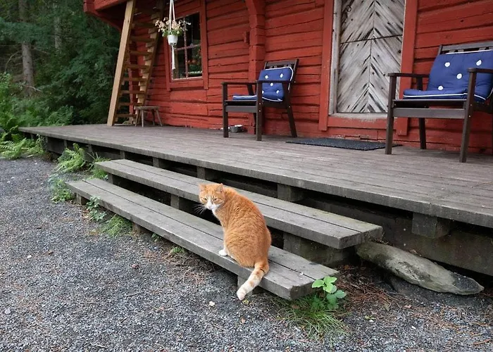 Getaway In The Wilderness Hämeenlinna