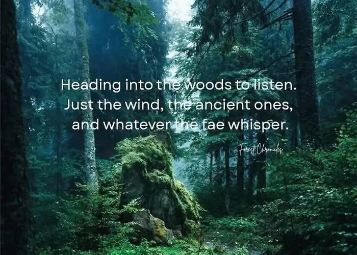 Hébergement de vacances Getaway In The Wilderness *